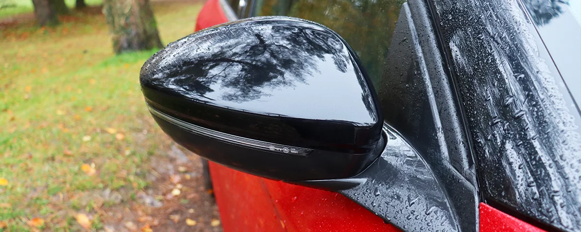 door mirrors